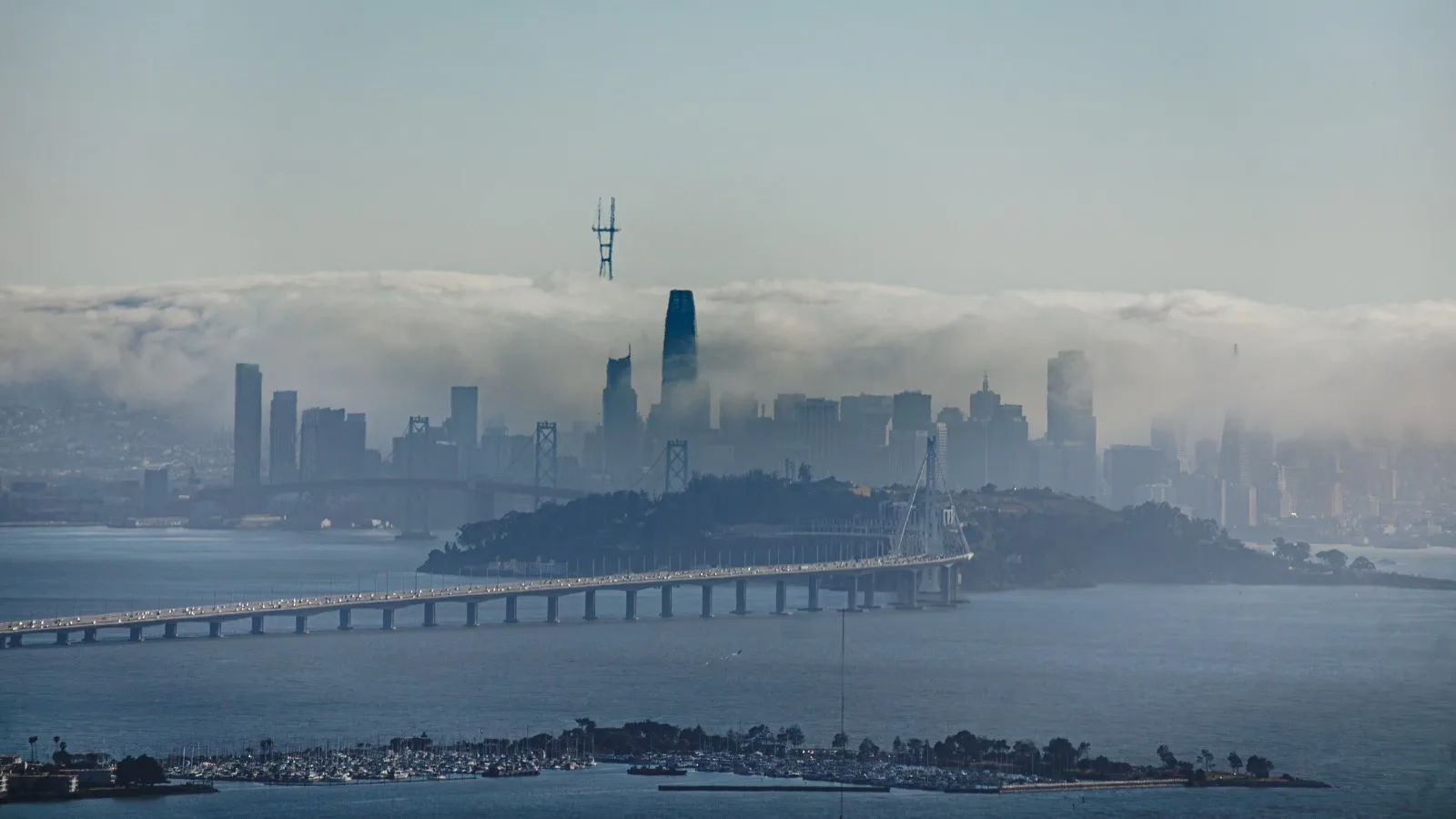The San Francisco skyline rising behind low fog with the Bay Bridge stretching across the water
